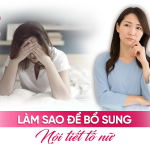 Làm Sao Để Bổ Sung Nội Tiết Tố Nữ An Toàn, Hiệu Quả?