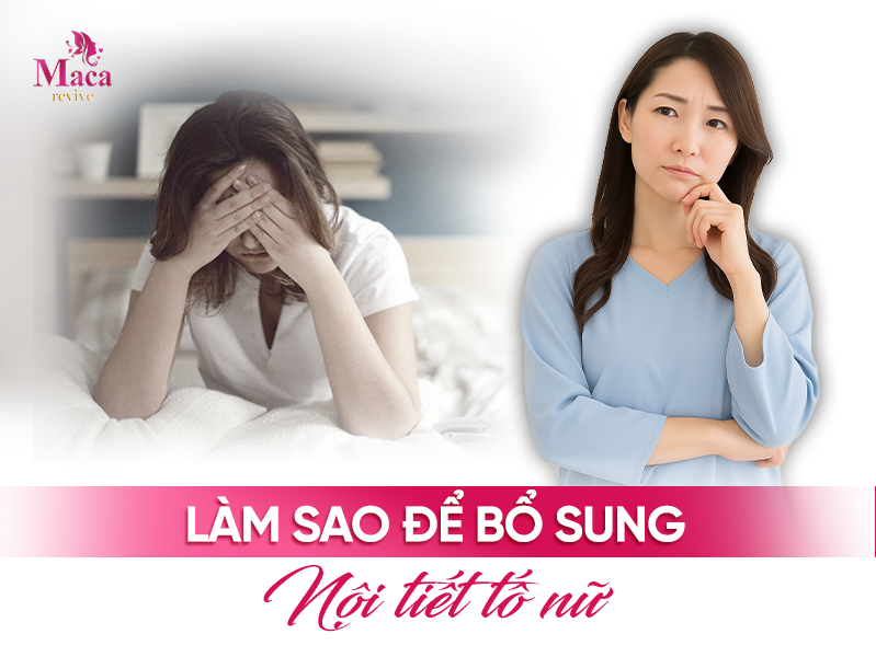 Làm Sao Để Bổ Sung Nội Tiết Tố Nữ An Toàn, Hiệu Quả?