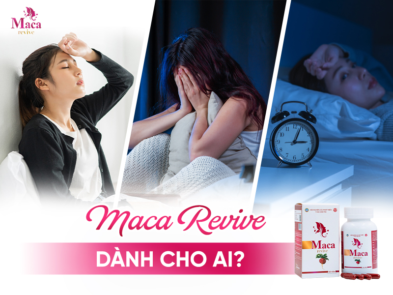 Maca Revive dành cho ai?
