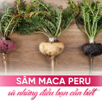 Sâm Maca Peru Có Tác Dụng Gì?