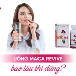Uống Maca Revive bao lâu thì ngừng?