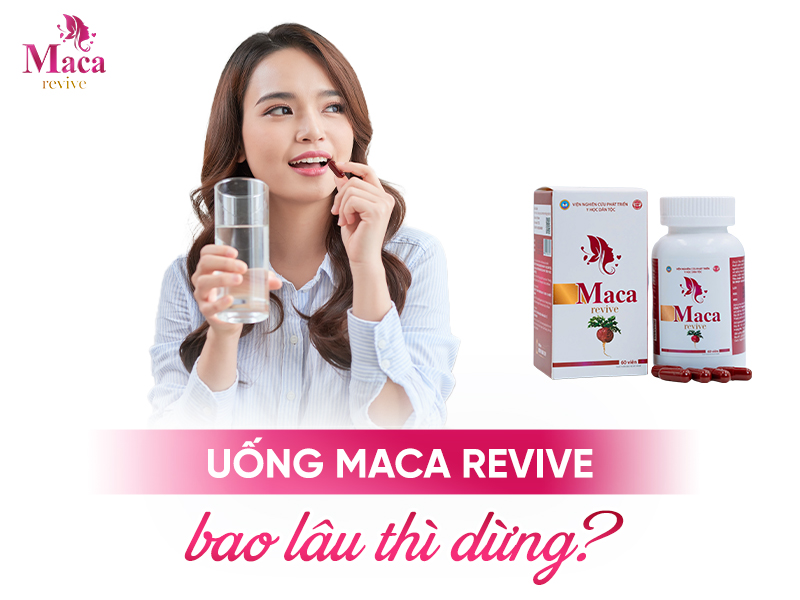 Uống Maca Revive bao lâu thì ngừng?