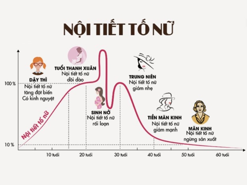 Tùy vào từng độ tuôi, nội tiết tố sẽ thay đổi khác nhau