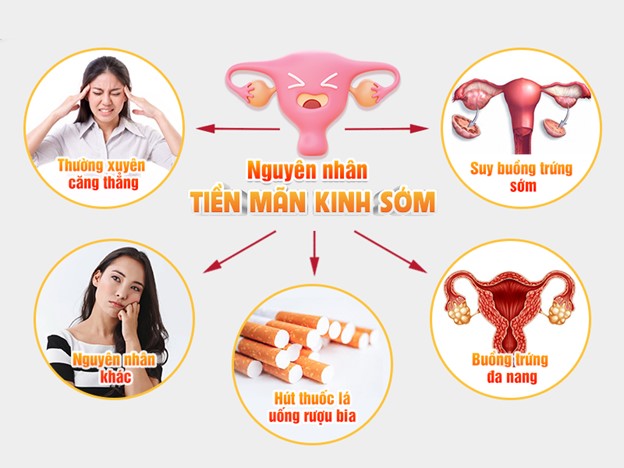 Một vài nguyên nhân gây mãn kinh sớm ở phụ nữ