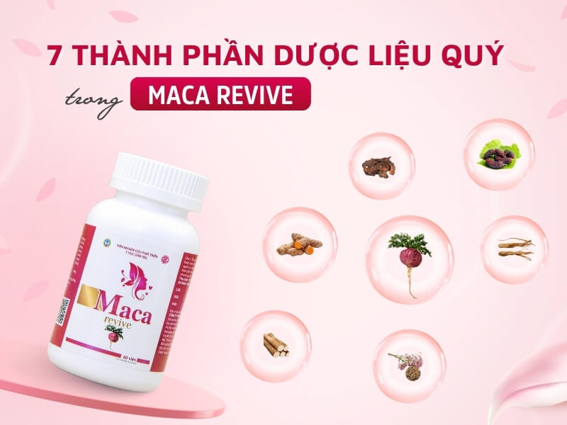 7 thành phần dược liệu có trong Maca Revive