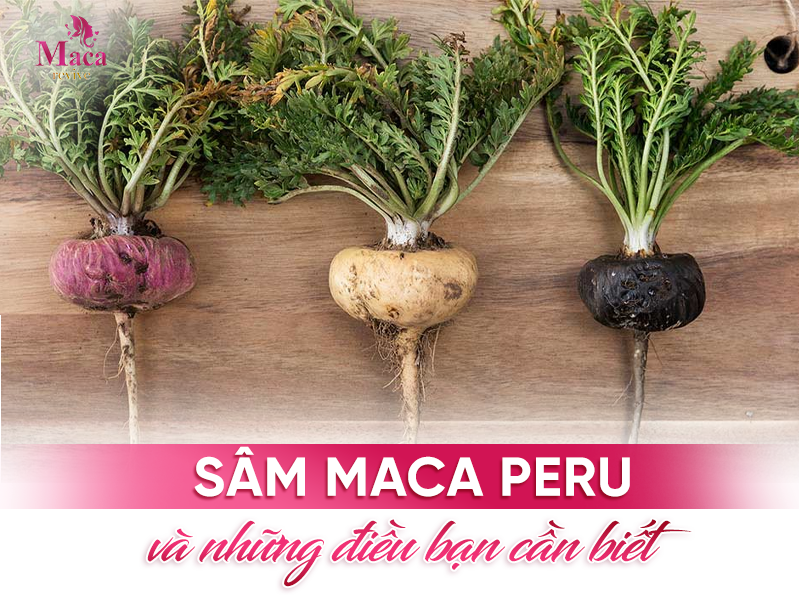 Sâm Maca Peru Có Tác Dụng Gì?